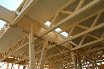 Kaufmann Oberholzer - Industriehalle aus Holz